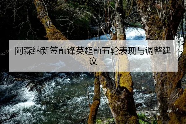 阿森纳新签前锋英超前五轮表现与调整建议