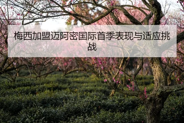 梅西加盟迈阿密国际首季表现与适应挑战